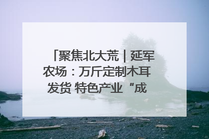 聚焦北大荒｜延军农场：万斤定制木耳发货 特色产业“成绩单”亮眼